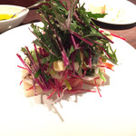 オステリア ハナタニ - おすすめのサラダ