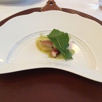 RISTORANTE REGA - タコとセロリの前菜