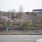 Yakiniku Yamato - 店舗前にごり池公園