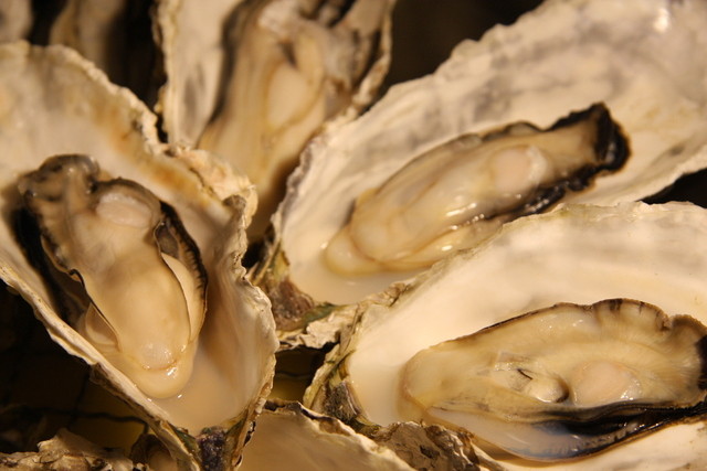 炉ばた くまの家 - 釧路（居酒屋）の写真