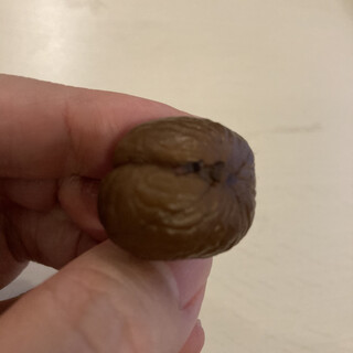 名物 天津甘栗 _1