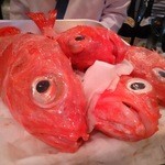 勝しん - キンキはさすがにお写真だけ。