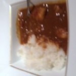 弐五壱 - カレー　あとからピリっときます