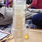 ワイマーケットブルーイングキッチン - 