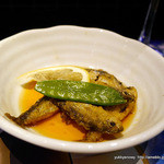 エドギン - お通し　鯵