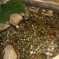 梅の花 銀座並木通店 - 