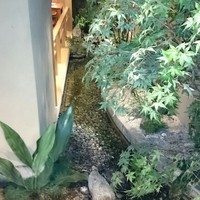 梅の花 銀座並木通店 - 