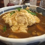 うどん上々 - 鶏天カレーうどん