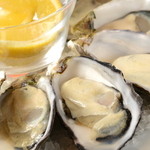 Raw oysters from carefully selected production areas