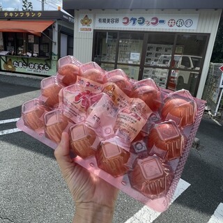 コケコッコー共和国_0