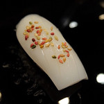 金寿司 - 201505 スミイカ