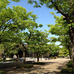Tokimeguru Kafe - 幾久公園、左奥がカフェ