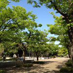 ときめぐる、カフヱー。 - 幾久公園、左奥がカフェ