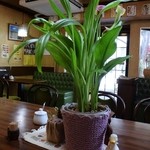 すみれ - 店内の雰囲気