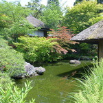 イノダコーヒ - お店の横の、庭園！