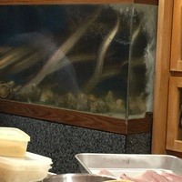 割烹 やました - カウンター正面には水槽