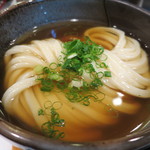 極浄うどん うだま - 2015.5ちくたま天ひやひや