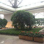 ピーク・ラウンジ - 