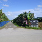 とうふの比嘉 - お店への道