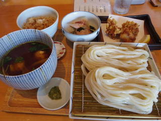 軍鶏と純手打ちうどん はし田本店 - 