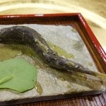 蓮華 - 稚鮎の揚げ物　
　ハーブと酢のソース　内臓の苦みが心地よい
　ナスタチウム？
