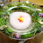 セララバアド - 春の高原