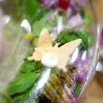 セララバアド - りんごの蝶々