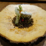 セララバアド - 春の大地