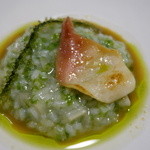 セララバアド - アップです