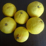 わくわく広場  - 料理写真:湘南ゴールド