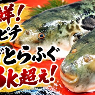 ふぐ義_1