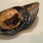 ブルガズ アダ - ムール貝