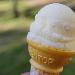 1×1=1アイスクリン - 