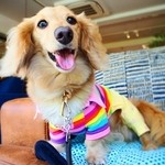 バロワーテラス - 