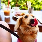 バロワーテラス - 