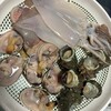 丸義商店
