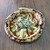 +TREE CAFE - 料理写真: