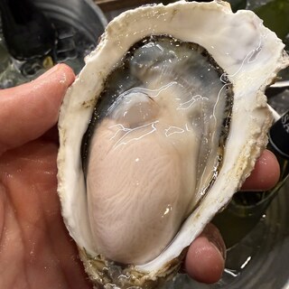 Oyster bar UOICHI - その他写真:
