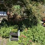 古民家カフェ うちごはん たべてきぃ - 