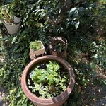 古民家カフェ うちごはん たべてきぃ - 