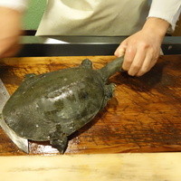 うを徳 - 四万十川の天然スッポン！