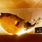 銀座　ふく太郎 - ●シュミレーション▶︎【37】とらふぐ