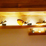 銀座　ふく太郎 - ●シュミレーション▶︎【35】ふぐの剥製がかざってあります。