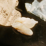 銀座　ふく太郎 - ●シュミレーション▶︎【32】とらふぐの筋膜！