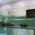 Ah Yat Abalone Seafood Restaurant - 