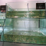 Ah Yat Abalone Seafood Restaurant - 