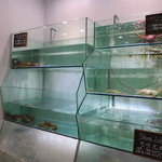 Ah Yat Abalone Seafood Restaurant - 