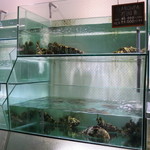 Ah Yat Abalone Seafood Restaurant - 