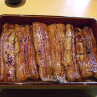 鰻割烹まえはら - うな重