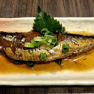 いわし料理 大松 _1